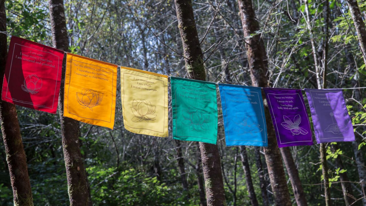 9 SENSE CORD Chakra